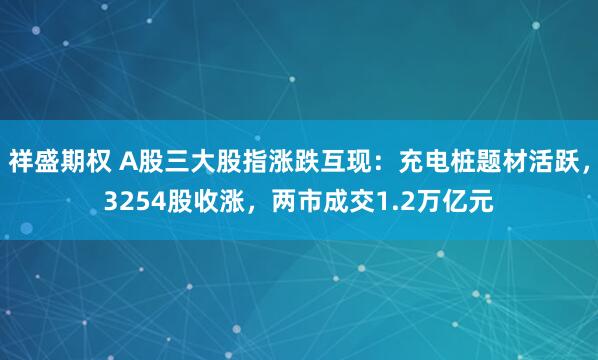 祥盛期权 A股三大股指涨跌互现：充电桩题材活跃，3254股收涨，两市成交1.2万亿元