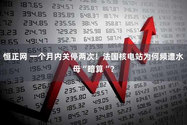 恒正网 一个月内关停两次！法国核电站为何频遭水母“暗算“？