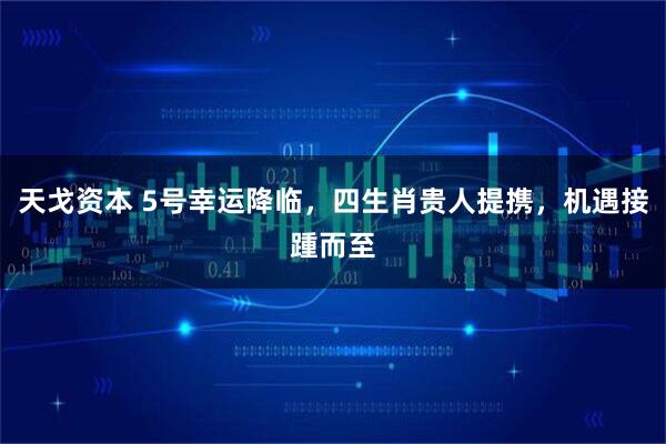 天戈资本 5号幸运降临，四生肖贵人提携，机遇接踵而至