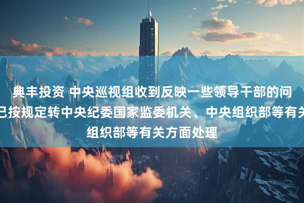 典丰投资 中央巡视组收到反映一些领导干部的问题线索，已按规定转中央纪委国家监委机关、中央组织部等有关方面处理