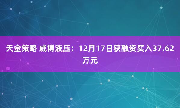 天金策略 威博液压：12月17日获融资买入37.62万元